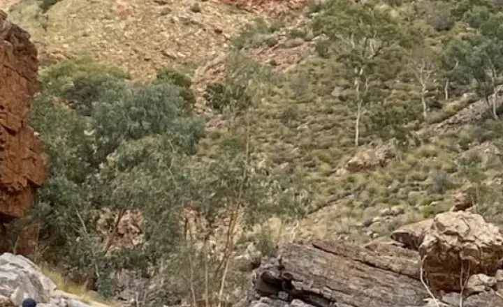 Larapinta trail