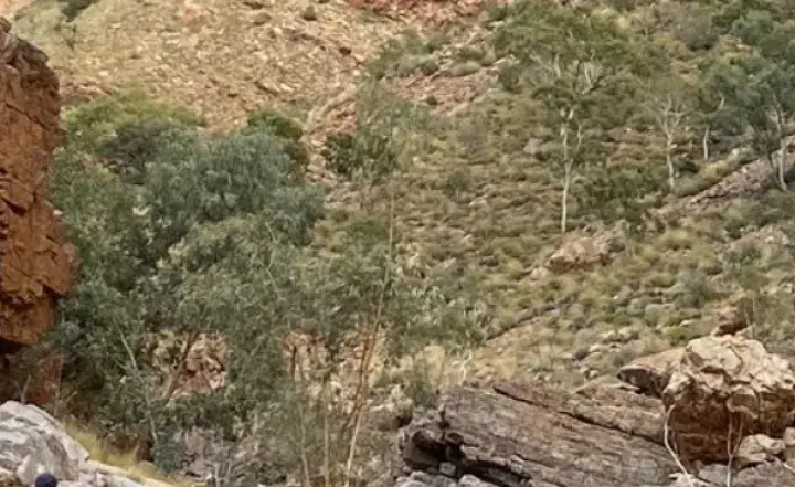 Larapinta trail